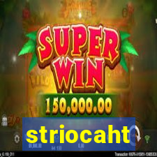 striocaht