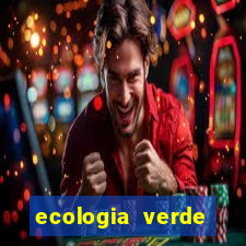 ecologia verde stardew valley