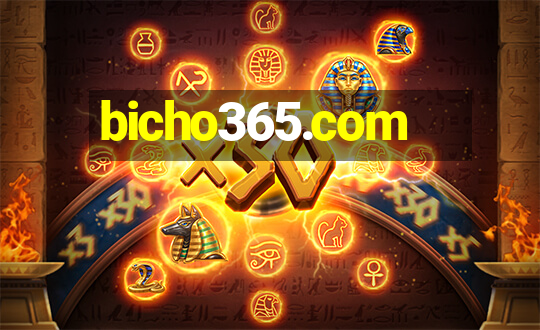 bicho365.com