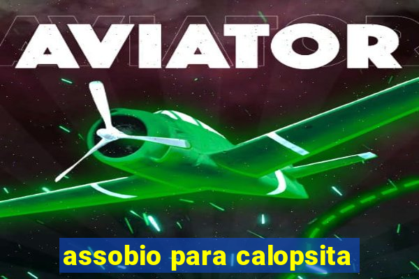 assobio para calopsita