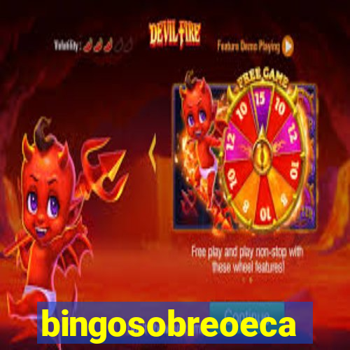 bingosobreoeca