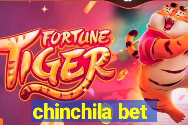 chinchila bet