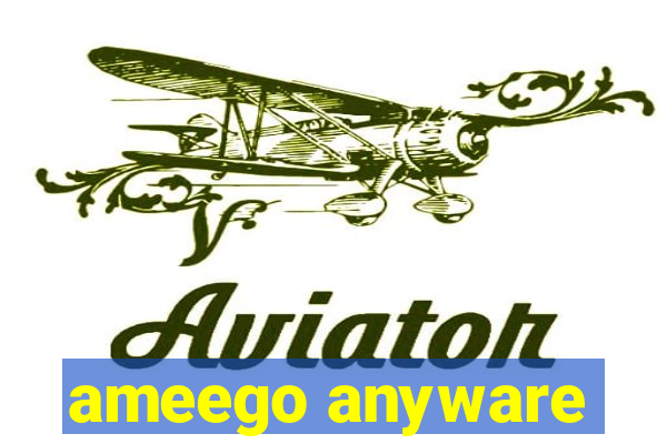 ameego anyware