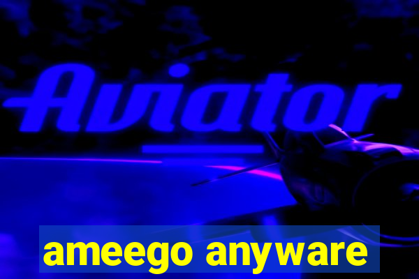 ameego anyware