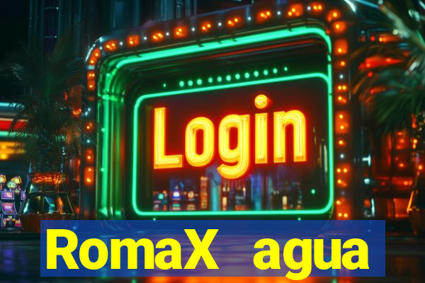 RomaX agua sanitaria fispq agua sanitaria romax