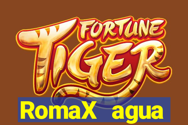 RomaX agua sanitaria fispq agua sanitaria romax