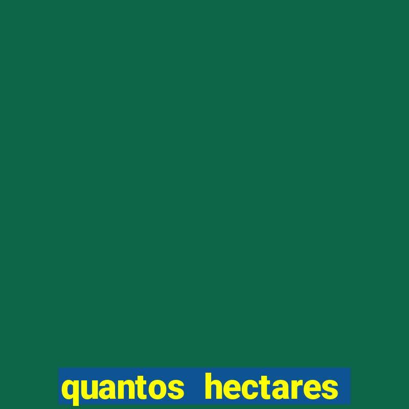 quantos hectares tem um campo de futebol