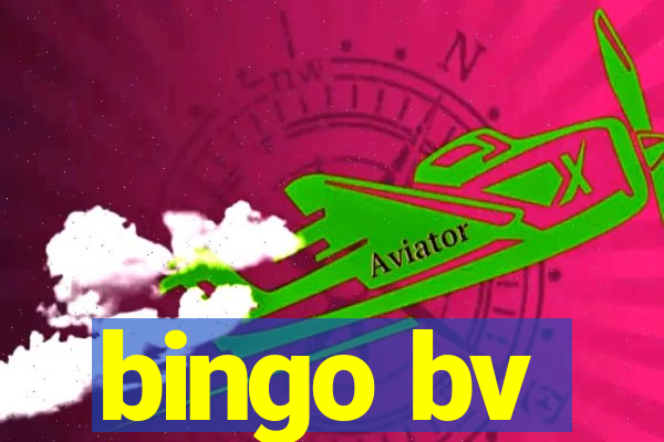 bingo bv