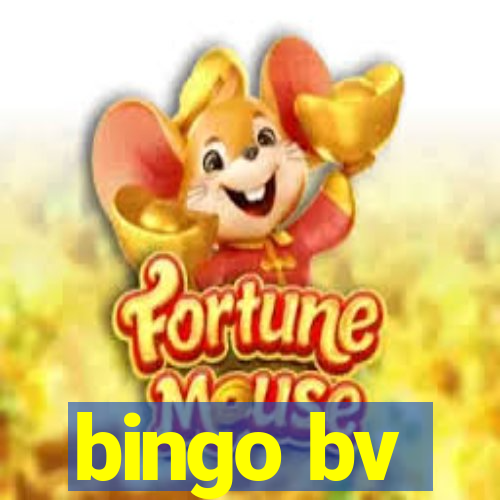 bingo bv