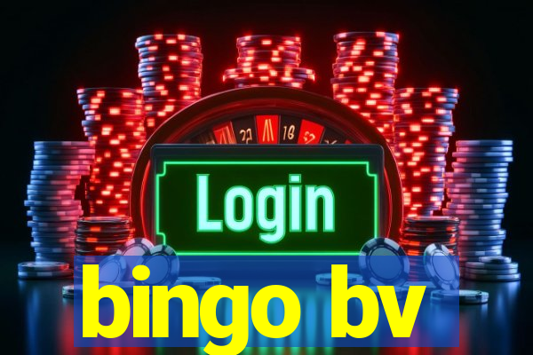 bingo bv