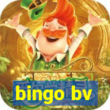 bingo bv