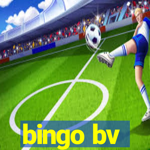 bingo bv