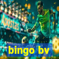 bingo bv