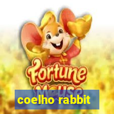 coelho rabbit