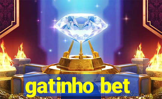 gatinho bet