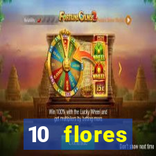 10 flores silvestres desbravadores