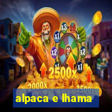 alpaca e lhama