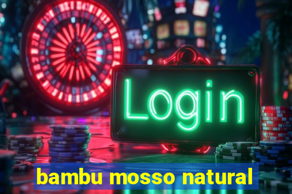 bambu mosso natural