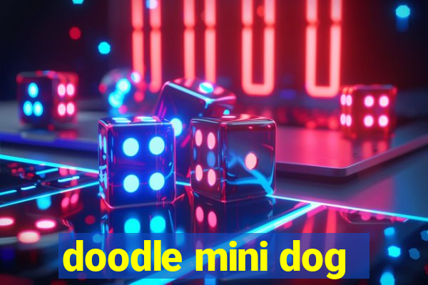 doodle mini dog