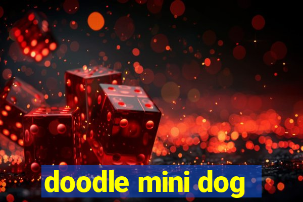 doodle mini dog