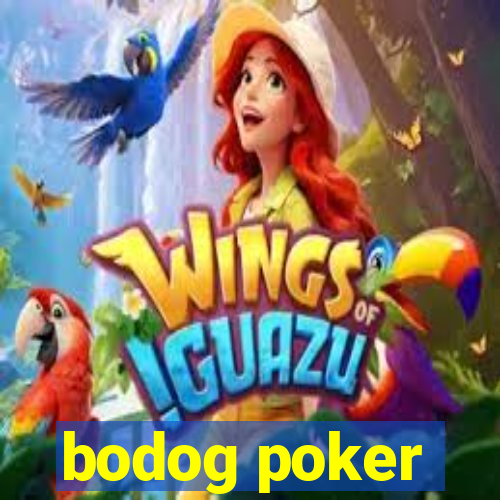 bodog poker