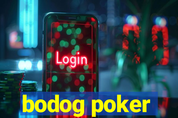 bodog poker