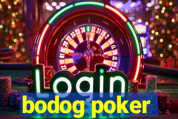 bodog poker