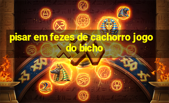 pisar em fezes de cachorro jogo do bicho