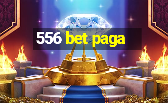 556 bet paga