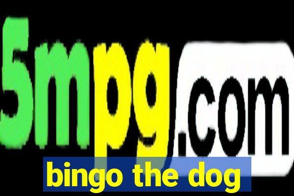 bingo the dog