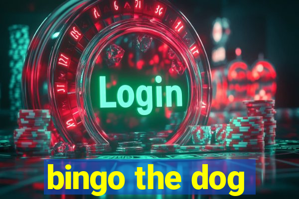 bingo the dog