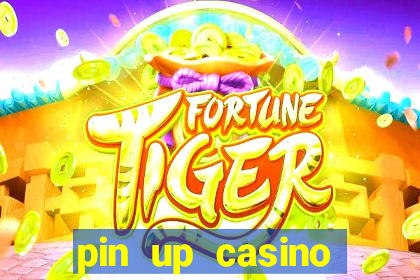 pin up casino login india