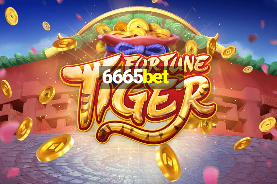 6665bet