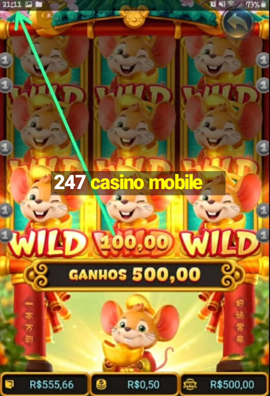 247 casino mobile