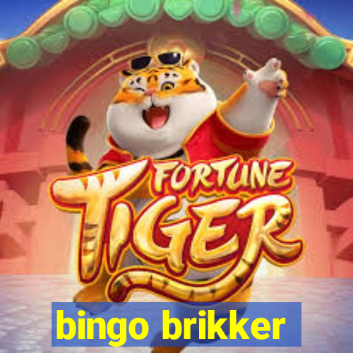 bingo brikker