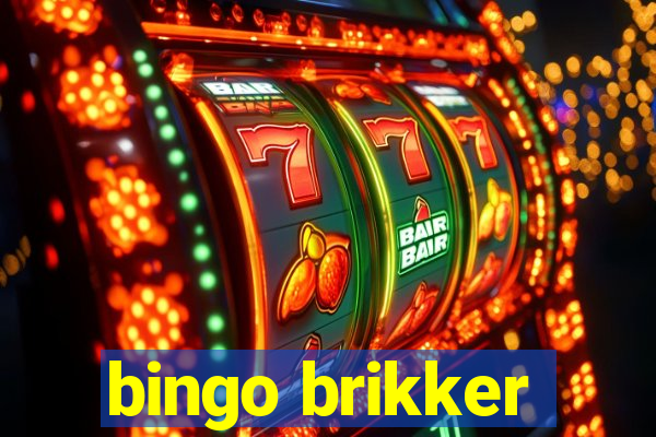 bingo brikker