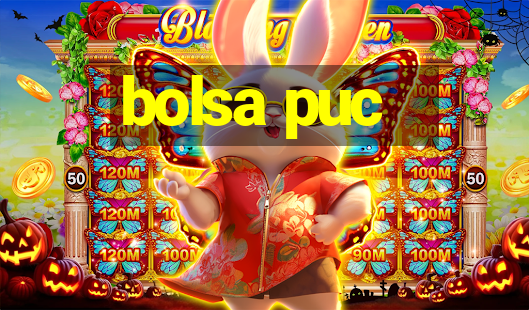 bolsa puc