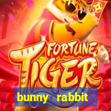 bunny rabbit game