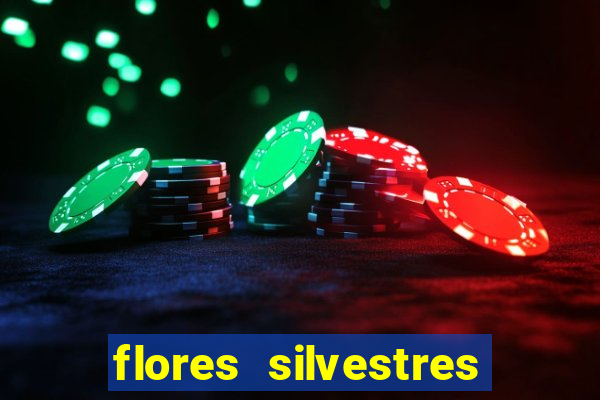 flores silvestres desbravadores desbravadores 25