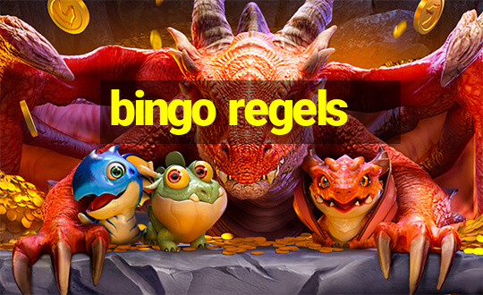 bingo regels