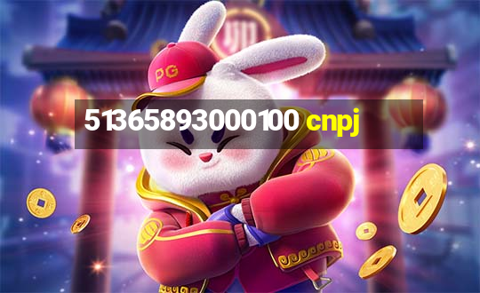 51365893000100 cnpj