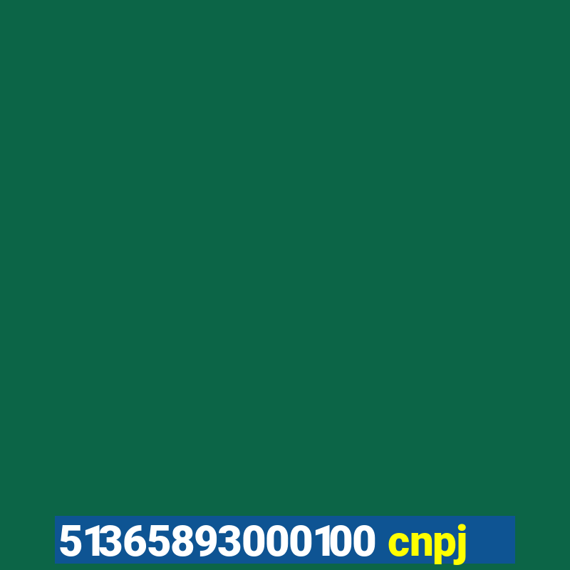 51365893000100 cnpj