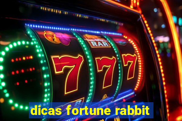 dicas fortune rabbit