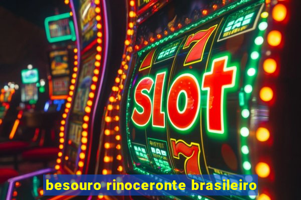 besouro rinoceronte brasileiro