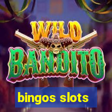 bingos slots