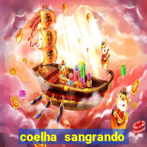 coelha sangrando pela parte intima