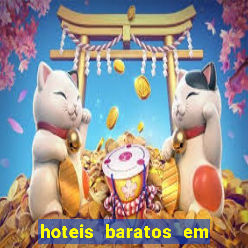 hoteis baratos em cruzeiro sp