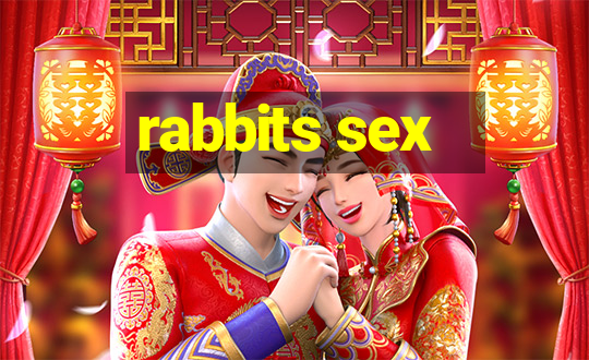 rabbits sex