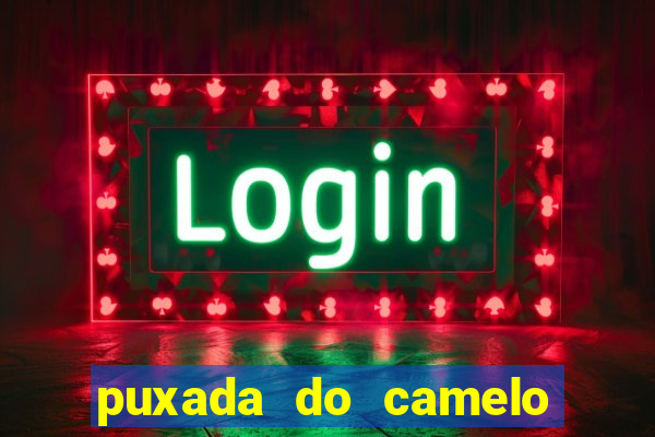 puxada do camelo no jogo do bicho