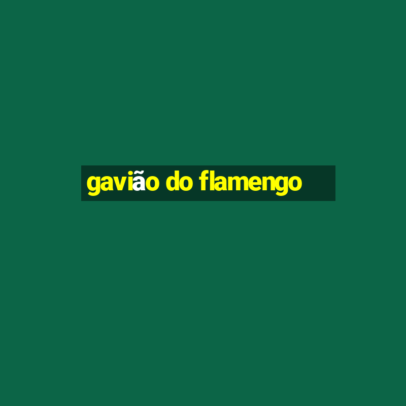 gavião do flamengo